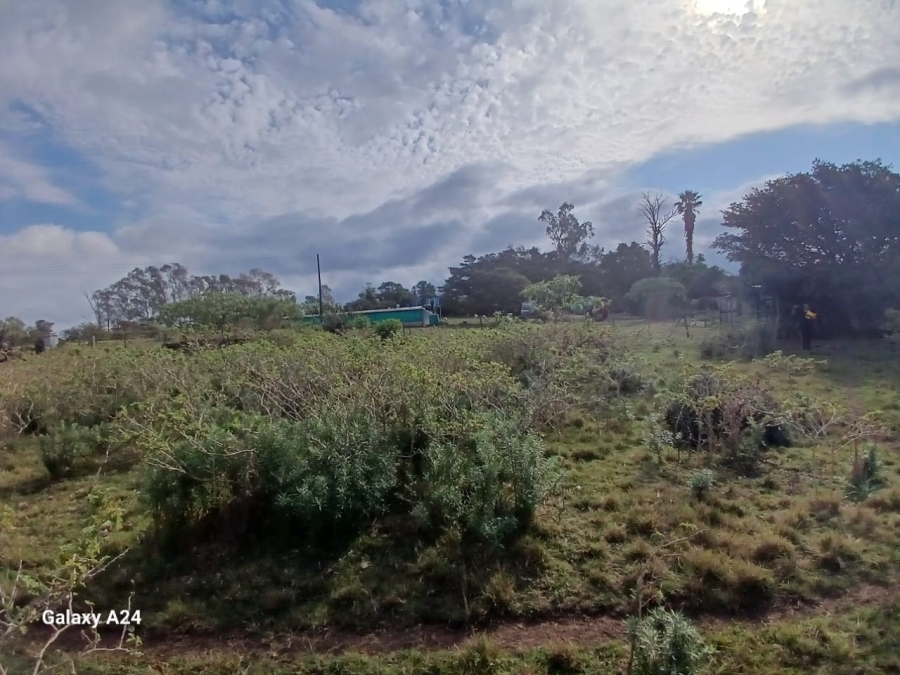 5 Bedroom Property for Sale in Macleantown Eastern Cape